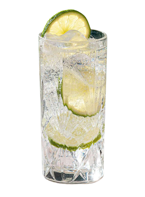 Gin and Tonic.png