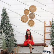 IMG-4594