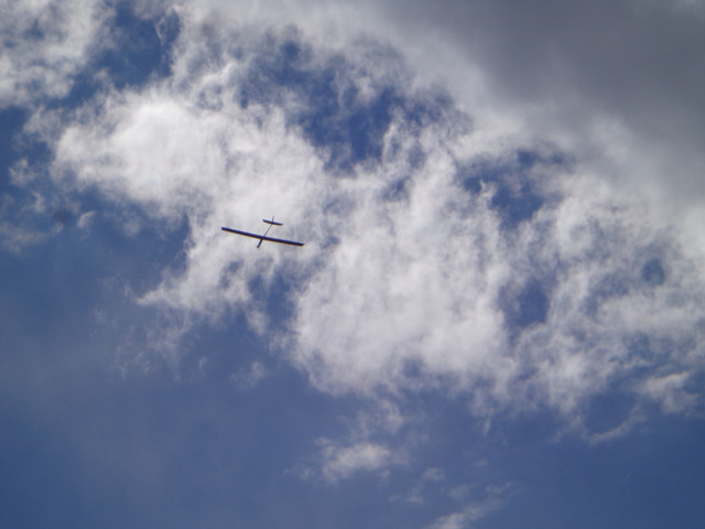 DSC00684.jpg