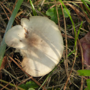 P1130644