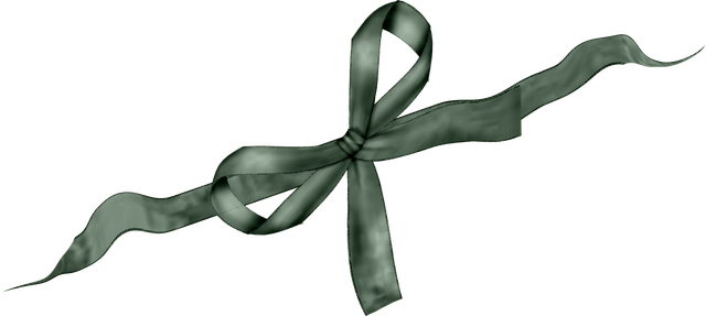 TP-Bow-01