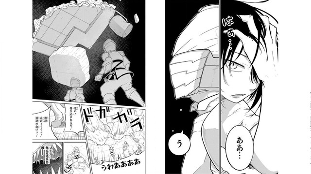 DLRAW-NET-09