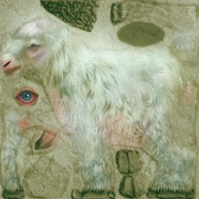 Goat_Adult_Sick_Dirty.dds