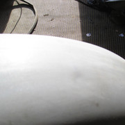 IMG-7557