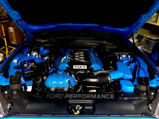 Stang-2