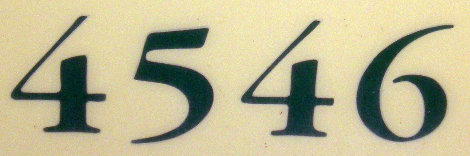 n4546.jpg