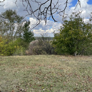 IMG 0396