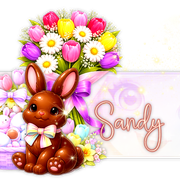Sandy 91ºBanner
