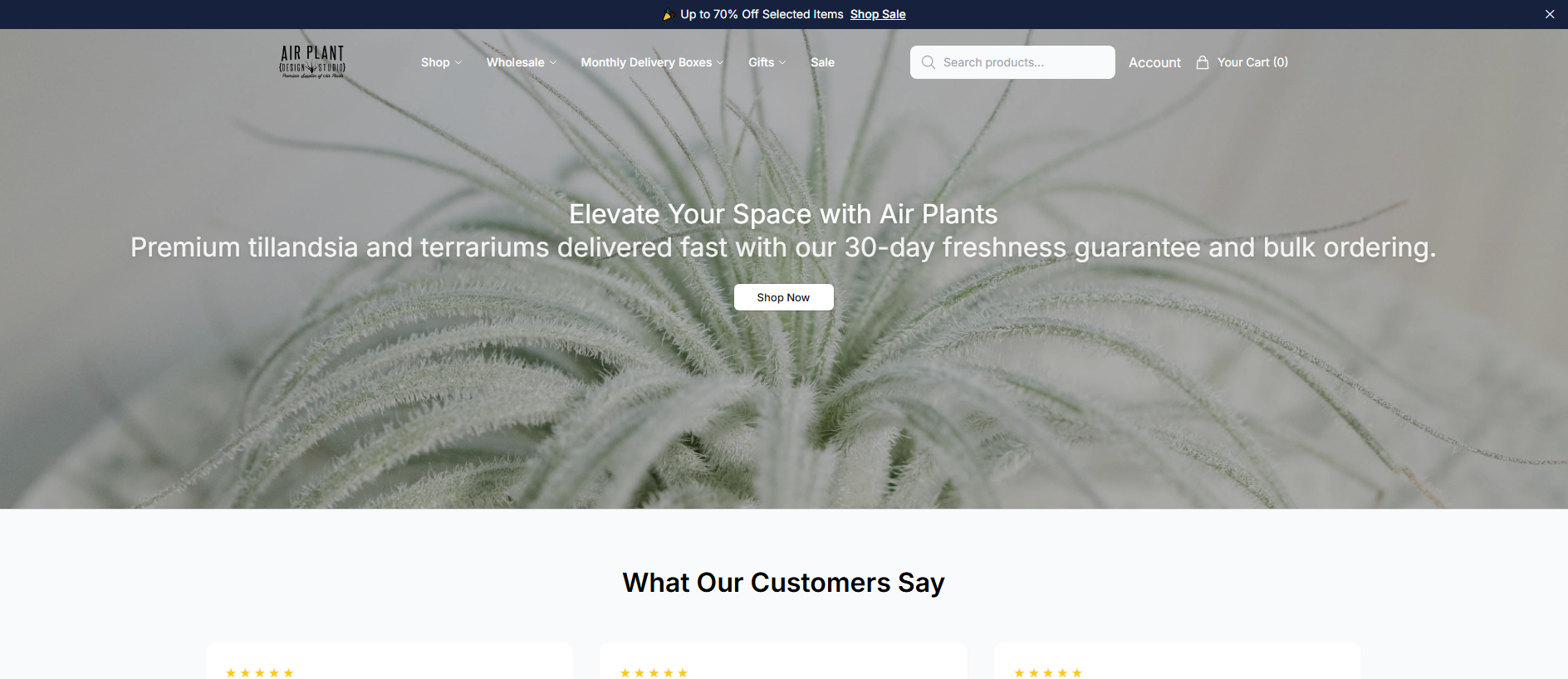 Stored capture of airplantsstore.shop