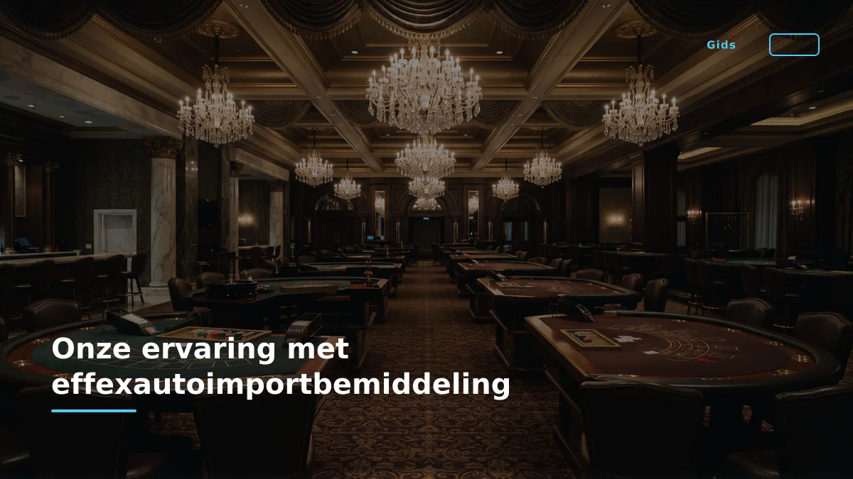 Onze ervaring met effexautoimportbemiddeling