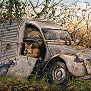 2CV van website