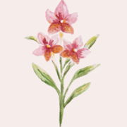 flower2
