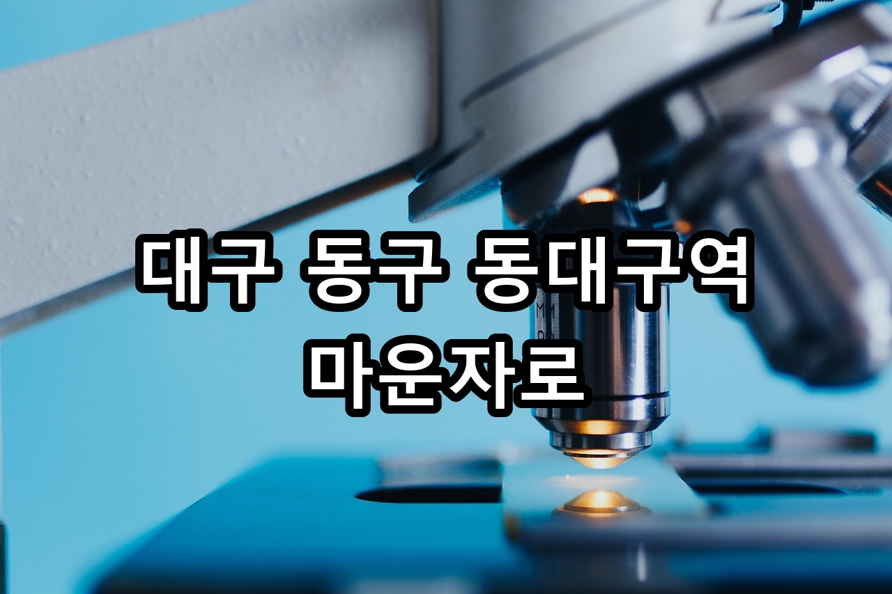대구 동구 동대구역 마운자로 안내