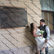 IMG 4481