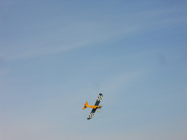 DSCN1736.jpg