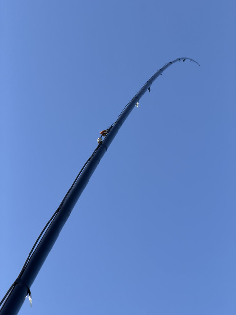 IMG-0415