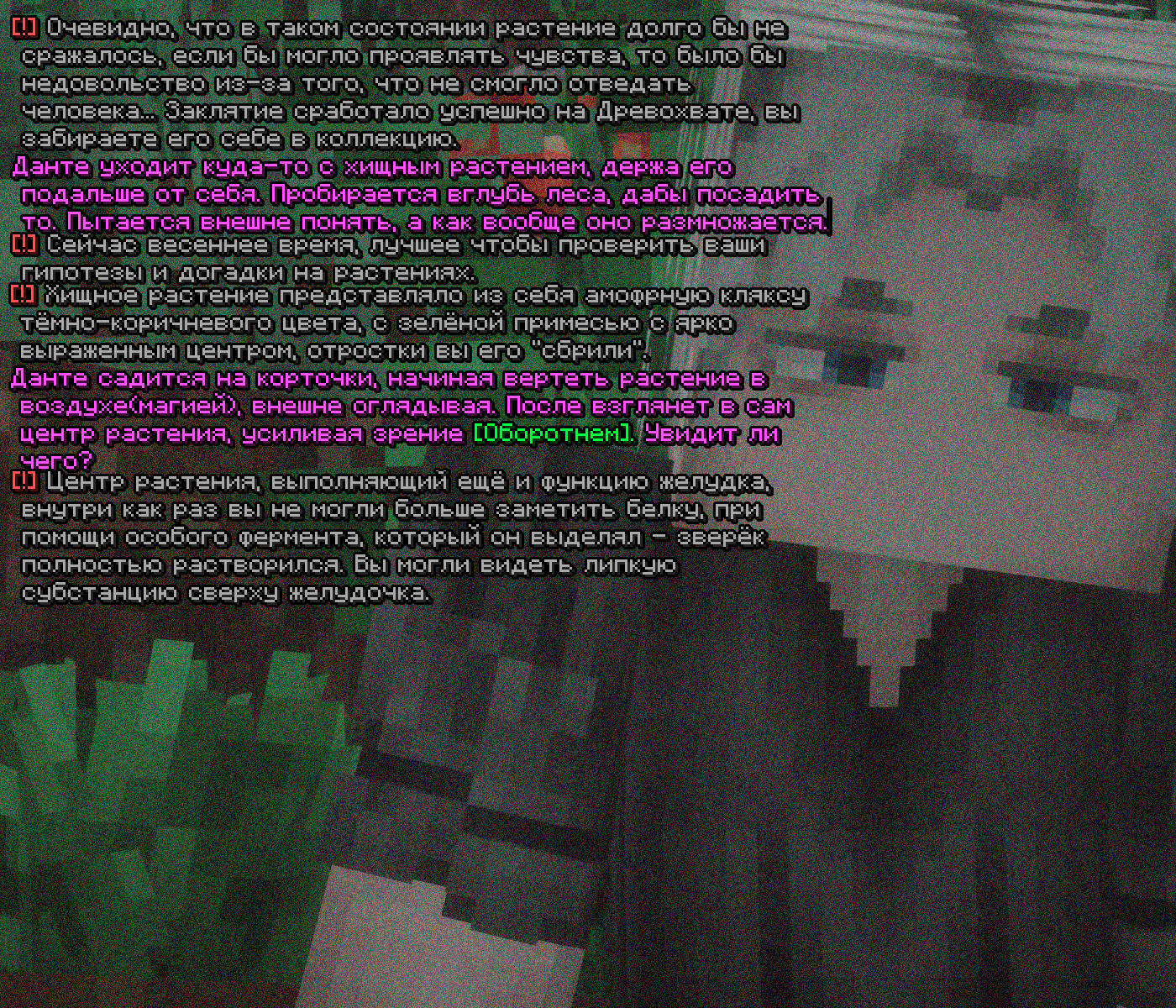 SS4.png