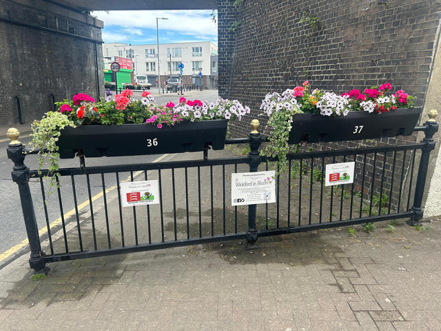 Wickford in Bloom Community Partnership