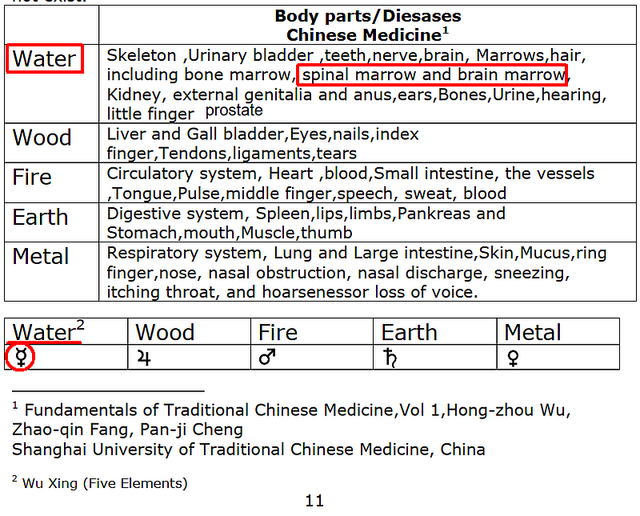 TCM Body Parts Diseases.png