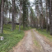 IMG 5704