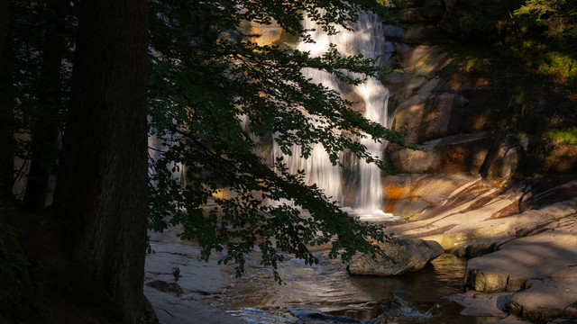 P1186536