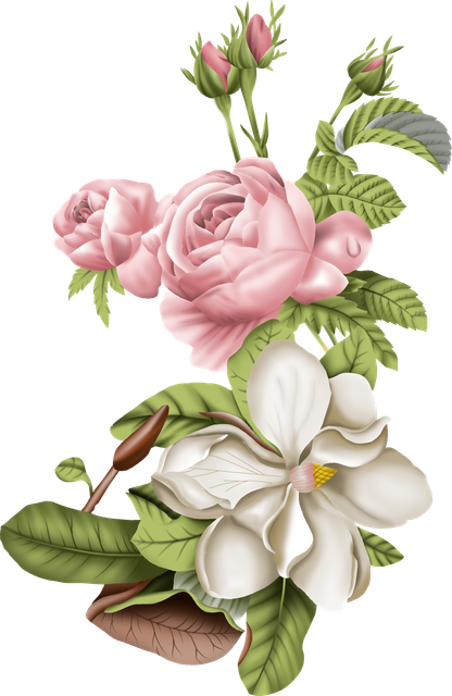02b09ef8165a82f5d886332fdfae3252.png