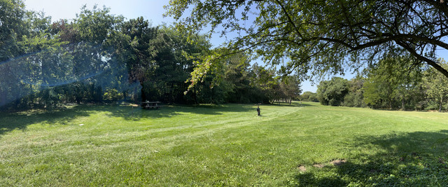 IMG-0019.jpg