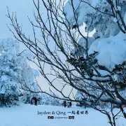 藏王树冰1