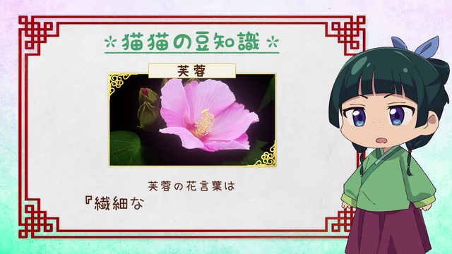3c5489726e81.png