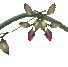 98b384580655
