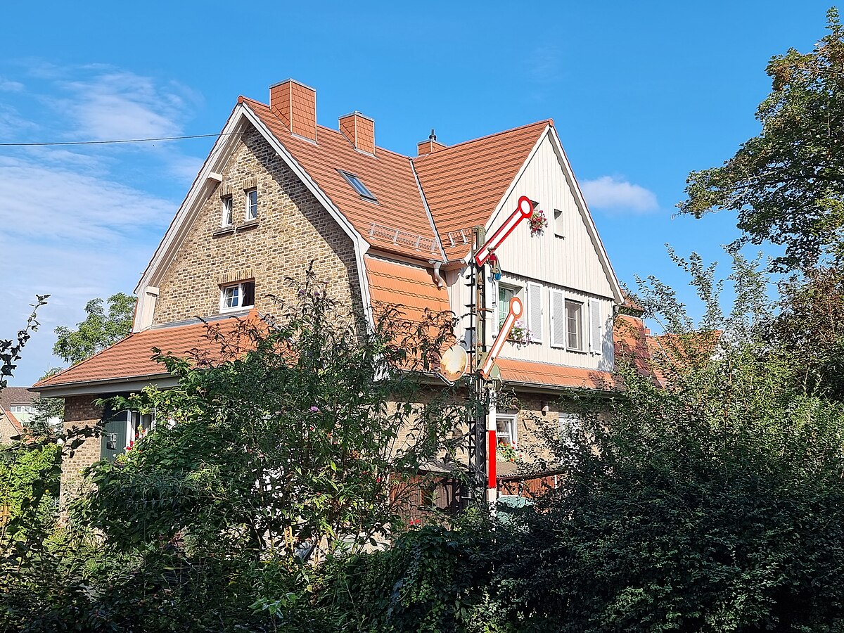 6Wald.jpg