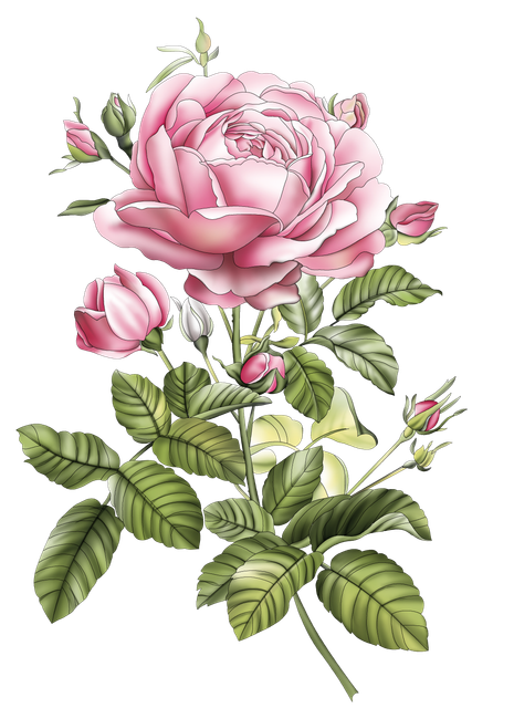 b21cc16d2e72028e510ec8c6bc4b4795.png