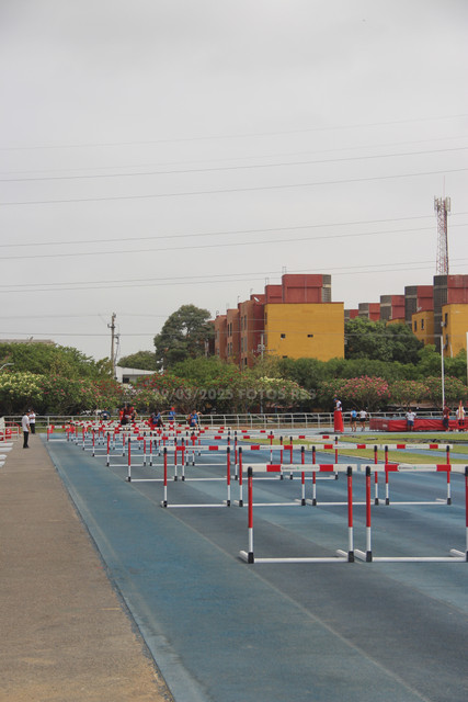 IMG-0013.jpg