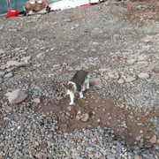 IMG-1279