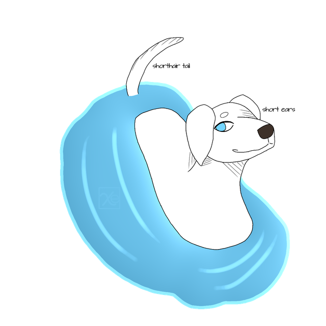 Swim-Base2-1.png
