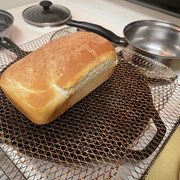 IMG-2377
