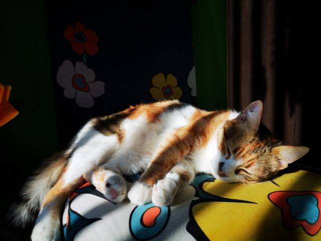IMG-20220112-112321