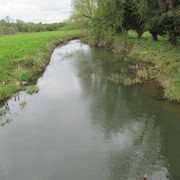 IMG-4082