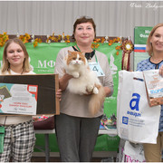 DSC-0945