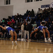 IMG-0131