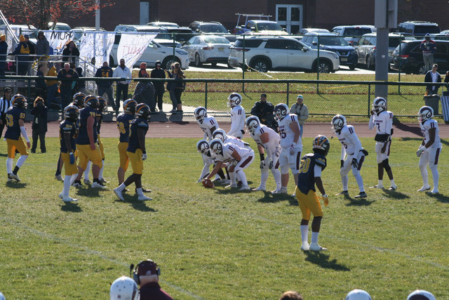 IMG-2681.jpg