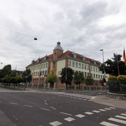 IMG-0011