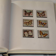 IMG-3955