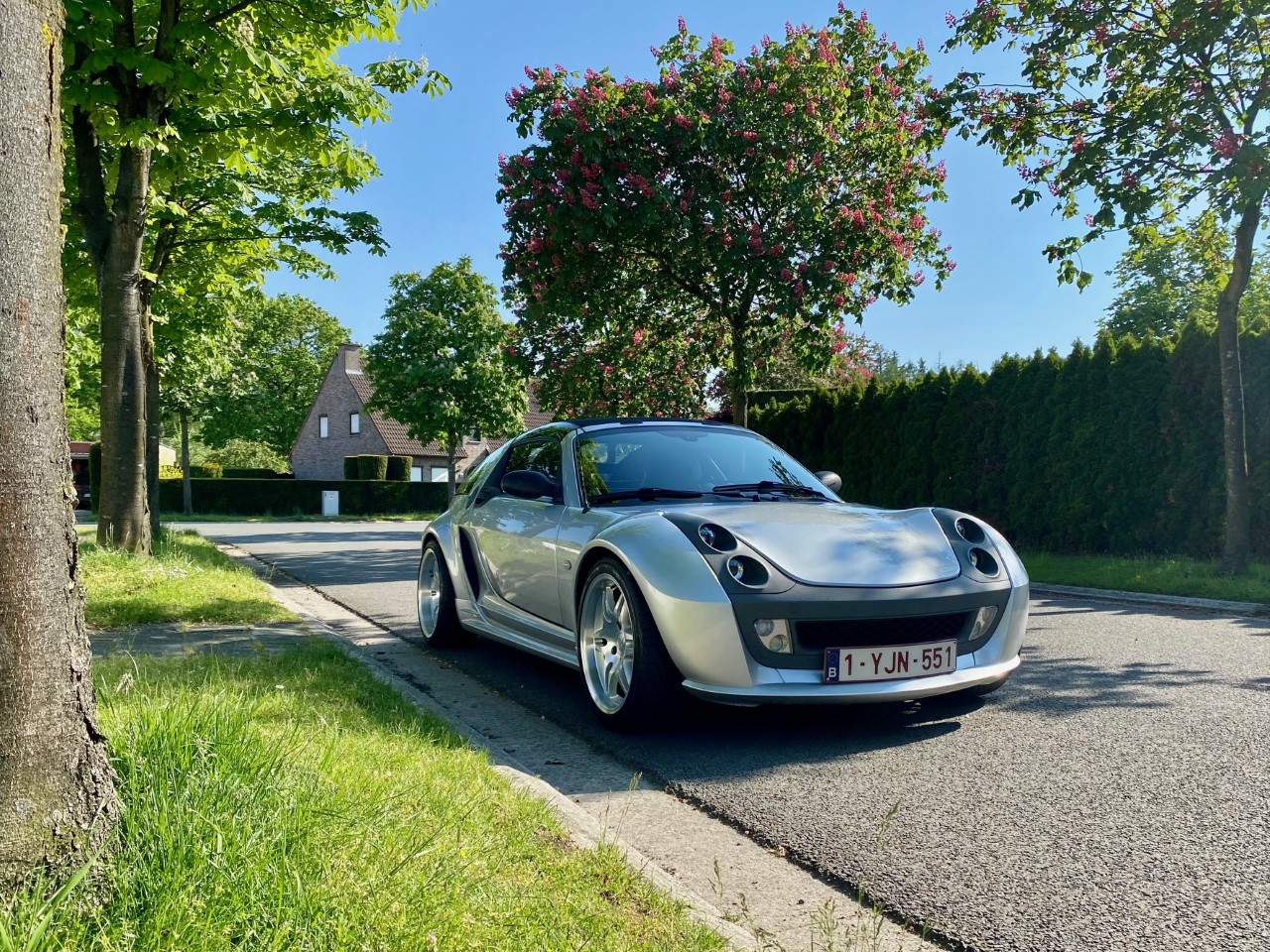 brabus29.jpg
