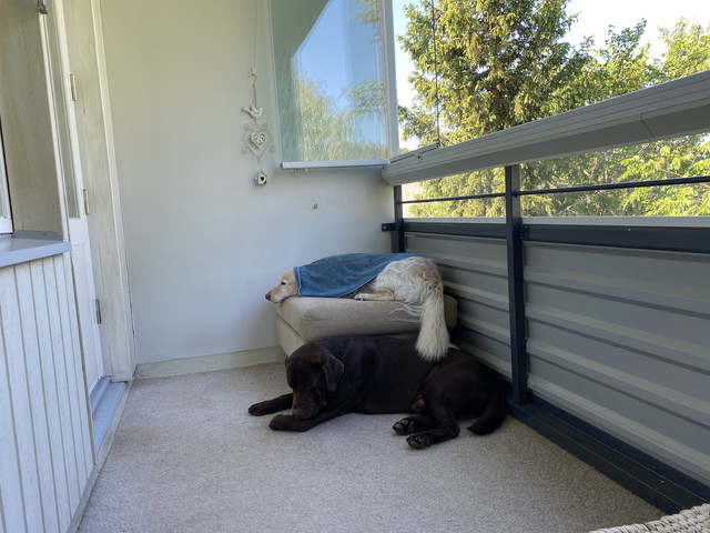 9-B7-FFC3-F-7-F5-C-48-B9-8-C77-22-D6-D71