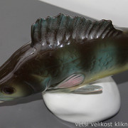 IMG-7889