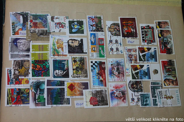 IMG-3482.jpg