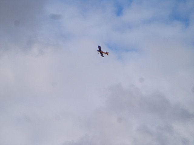 DSC00021.jpg