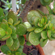 IMG-9001