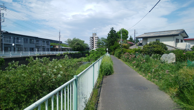 DSC-0020.jpg